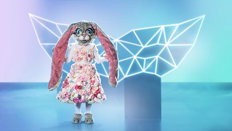 Der Hase war bei "The Masked Singer" ein echter Zuschauer-Liebling. Der Hase war bei "The Masked Singer" ein echter Zuschauer-Liebling.