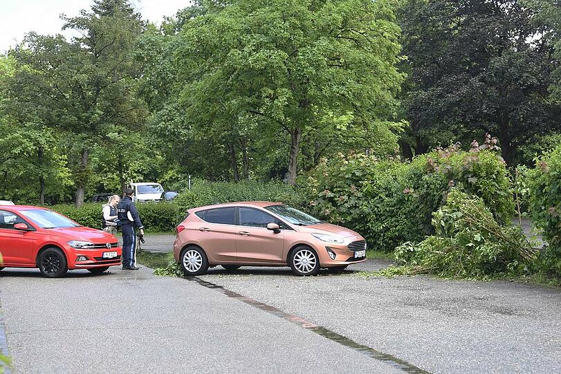 Bei dem Unfall wurde eine 81-Jährige schwer verletzt.