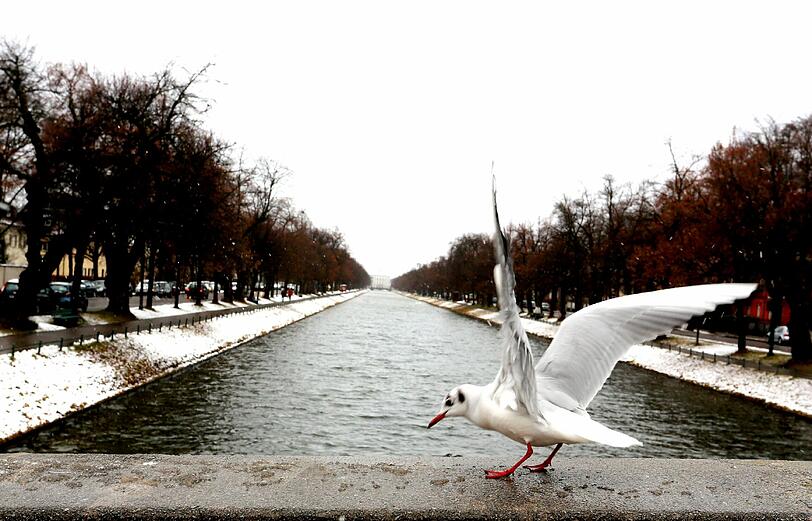 Schnee in München: So schaut's aus, wenn's kalt wird. Die Bilder aus den vergangenen Jahren.