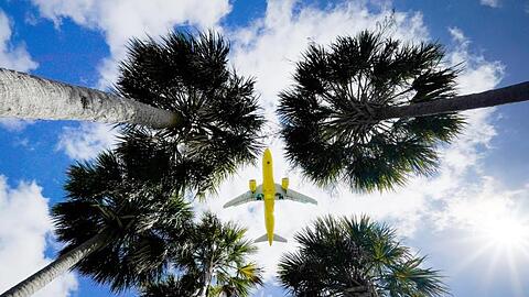 Passagierflugzeuge aus Europa werden zukünftig wieder in die USA fliegen dürfen - zumindest mit Geimpften an Bord.