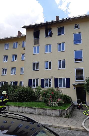 Die Feuerwehr hat acht Katzen aus einer brennenden Wohnung in Bogenhausen gerettet.