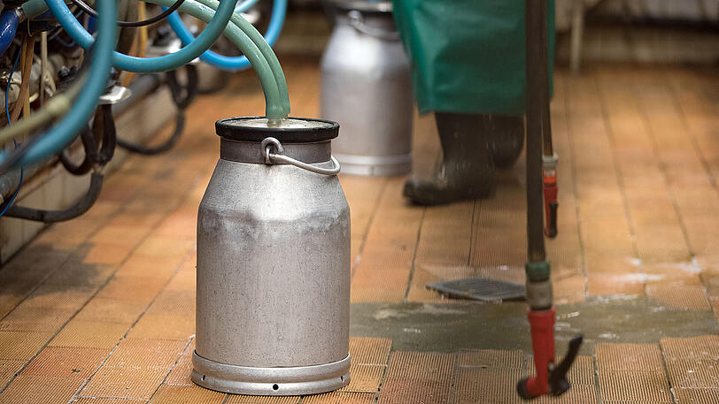 Wochenlang hatten Kindergartenkinder keine Milch zum Frühstück.