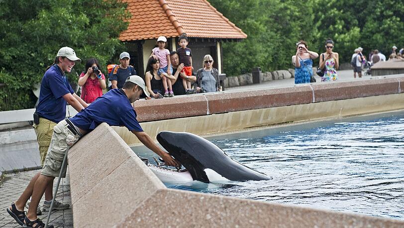 Der inzwischen geschlossene Freizeitpark in Kanada warnt, er müsse womöglich seine Tiere einschläfern. (Archivbild)