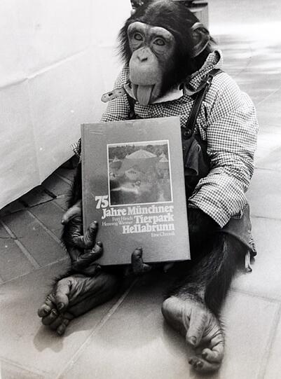 Schimpanse Toni ist tot.