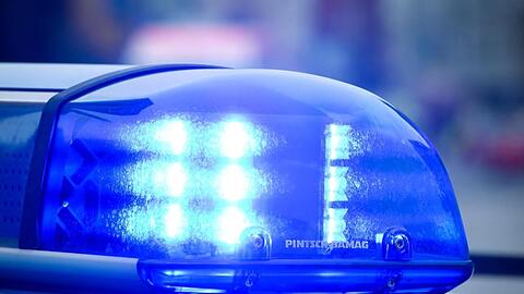 Blaulicht an einem Polizeiauto. Foto: Patrick Pleul/dpa/Symbolbild