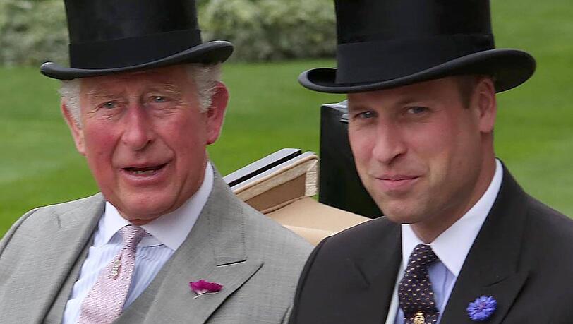 Prinz Charles und Prinz William haben viele gemeinsame Auftritte.