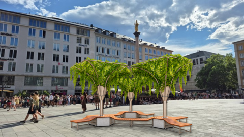 Mobiler Baumersatz: Die &Ouml;DP m&ouml;chte an stark versiegelten Orten (wie hier am Marienplatz) Beschattungssysteme ausprobieren.