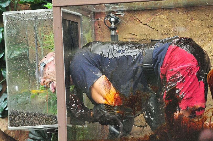 Sehen Sie hier weitere Bilder von Thorstens Prüfung.
