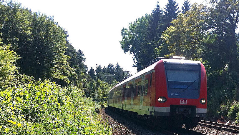 In einem Waldstück bei Baiersbrunn passierte das Unglück. Für den Rentner kam jede Hilfe zu spät. (Symbolbild) In einem Waldstück bei Baiersbrunn passierte das Unglück. Für den Rentner kam jede Hilfe zu spät. (Symbolbild)