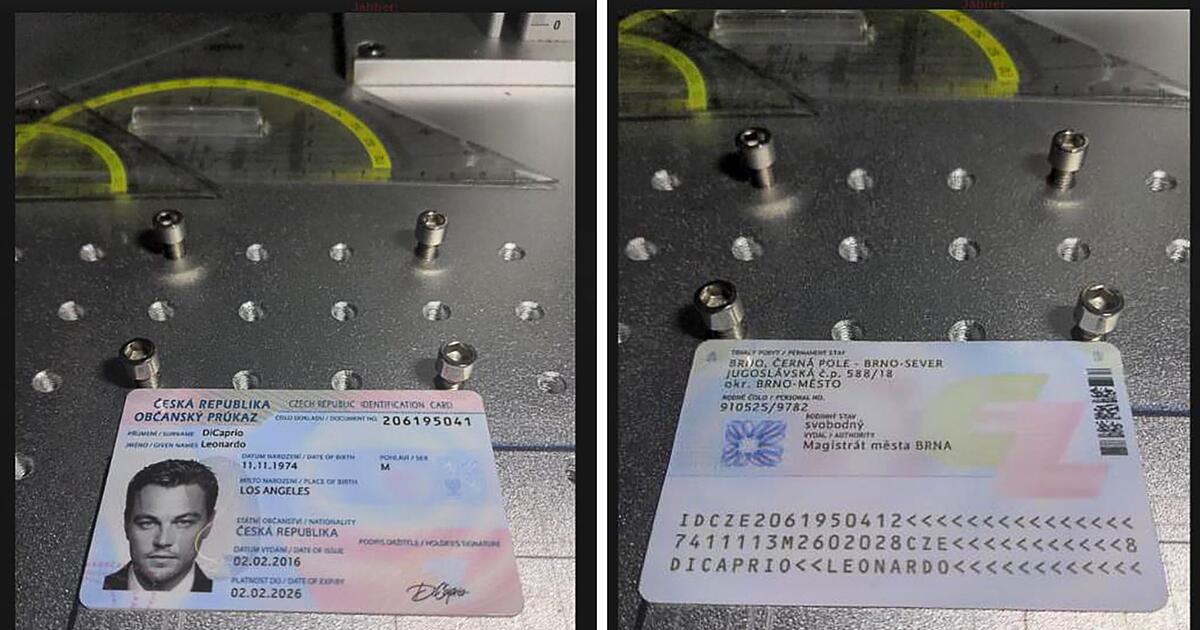 Mutma-licher-Ausweisf-lscher-festgenommen-Durchsuchungen