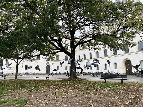 Die Organisatoren des propalästinensischen Protestcamps vor der Münchner Uni haben ihre Zelte abgebrochen. Die Organisatoren des propalästinensischen Protestcamps vor der Münchner Uni haben ihre Zelte abgebrochen.