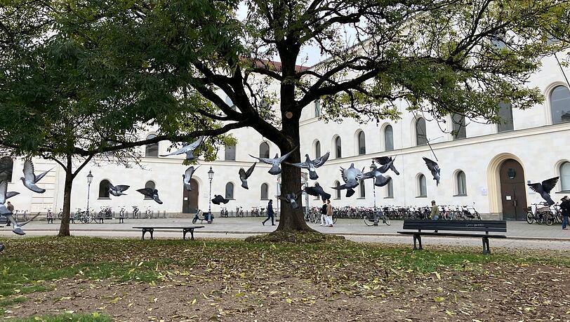 Die Organisatoren des propalästinensischen Protestcamps vor der Münchner Uni haben ihre Zelte abgebrochen. Die Organisatoren des propalästinensischen Protestcamps vor der Münchner Uni haben ihre Zelte abgebrochen.