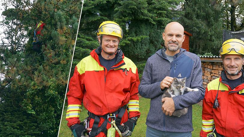 Weil Kätzchen Coco zu hoch geklettert ist, mussten Höhenretter der Feuerwehr den ängstlichen Vierbeiner retten.