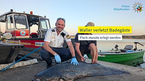 Die Polizei hat ein Foto des erlegten Riesenwels veröffentlicht.