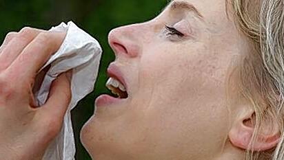 In diesem Jahr mussten Birkenpollen-Allergiker besonders leiden: Die Saison begann kurz vor Silvester 2013 – und endete erst vor gut drei Wochen. In diesem Jahr mussten Birkenpollen-Allergiker besonders leiden: Die Saison begann kurz vor Silvester 2013 – und endete erst vor gut drei Wochen.