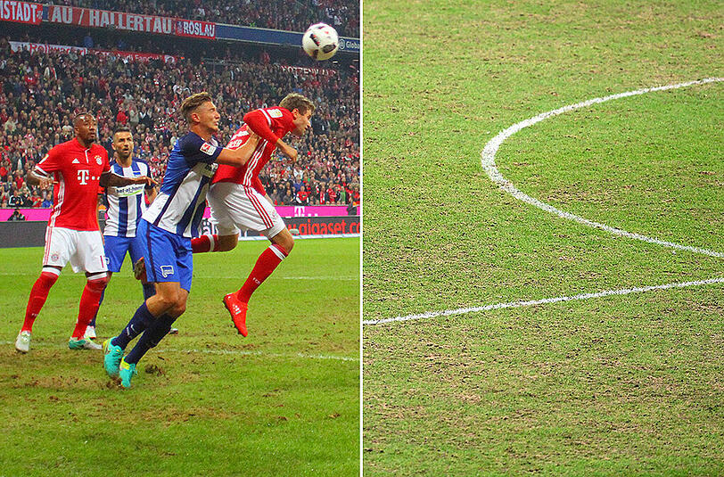 Ein schlimmer Anblick: der Rasen in der Allianz Arena.