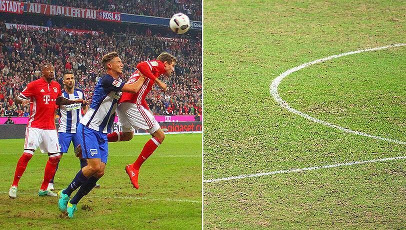 Ein schlimmer Anblick: der Rasen in der Allianz Arena. Ein schlimmer Anblick: der Rasen in der Allianz Arena.
