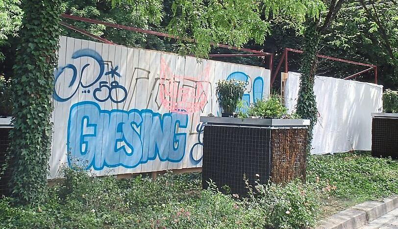 Gitterkästen mit Moos und eine Wand zum Sprayen.