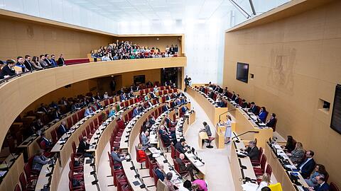 Abgeordnete nehmen an einer Landtagssitzung teil.