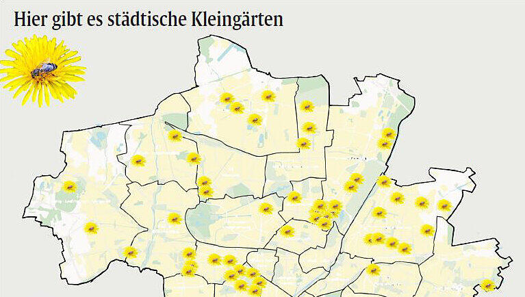 83 städtische Kleingartensieldungen gibt es in der Stadt. Im Gegensatz zu anderen Städten ist das nicht viel. Außerdem sind die Anlagen nicht gleichmäßig über die Stadt verteilt. So finden sich im Münchner Südwesten deutlich weniger Anlagen, als zum Beispiel im Südosten oder rund um den Englischen Garten. Das Blumen-Symbol zeigt die Standorte an, je Blume kann es sich in manchen Fällen auch um mehrere Anlagen handeln, die sehr nahe nebeneinander liegen. 83 städtische Kleingartensieldungen gibt es in der Stadt. Im Gegensatz zu anderen Städten ist das nicht viel. Außerdem sind die Anlagen nicht gleichmäßig über die Stadt verteilt. So finden sich im Münchner Südwesten deutlich weniger Anlagen, als zum Beispiel im Südosten oder rund um den Englischen Garten. Das Blumen-Symbol zeigt die Standorte an, je Blume kann es sich in manchen Fällen auch um mehrere Anlagen handeln, die sehr nahe nebeneinander liegen.