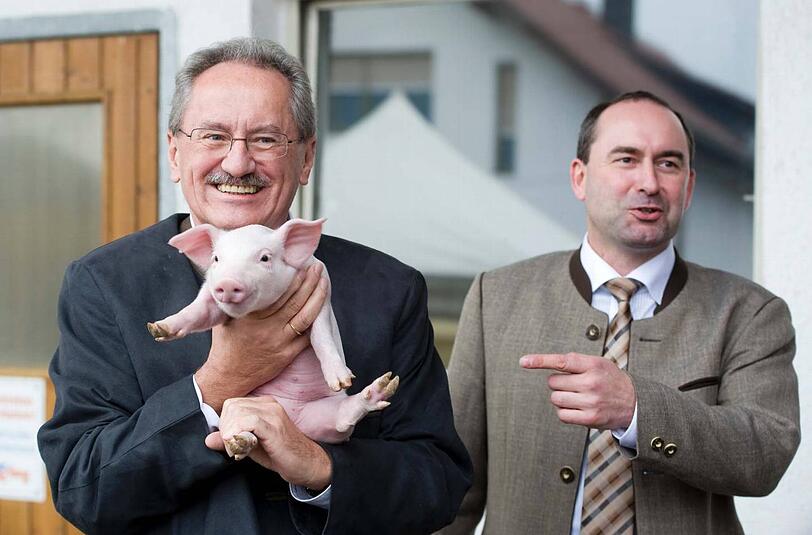 Schwein mit Spitzenkandidat: Seehofer-Herausforderer Christian Ude zu Besuch auf dem Bauernhof von Freie Wählerchef Hubert Aiwanger.