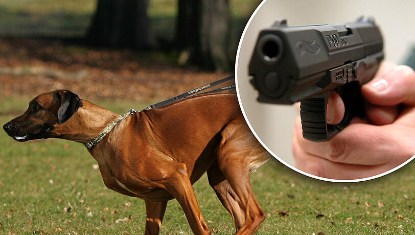 Ein Berliner Polizist hat in einem Park einen nicht angleinten Hund erschossen Ein Berliner Polizist hat in einem Park einen nicht angleinten Hund erschossen