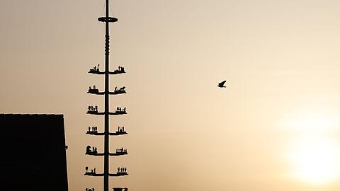 Das Wetter hat die kommenden Tage von Sonne bis Gewitter einiges zu bieten.