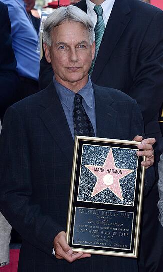 Platz 3: Mark Harmon (20 Millionen Dollar, "Navy CIS")