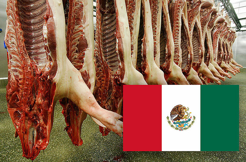 Fleischstudie über Mexiko: Hat deutsches Fleisch Chancen in Mexiko? Die Antwort kostet 20 000 Euro.