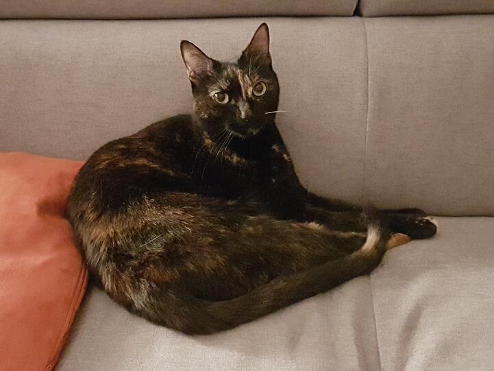 Lilly