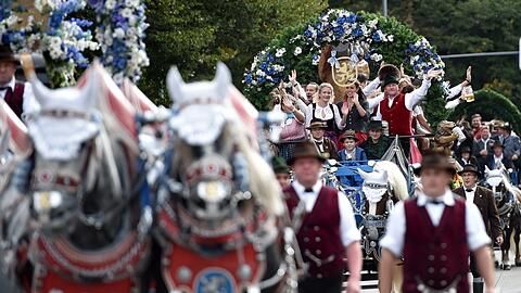 Jede Brauerei hat ihre Brauereipferde auf der Wiesn.
