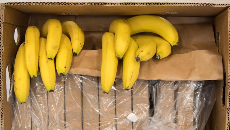 In einer Bananenkiste deponiertes Kokain wird vom bayerischen Landeskriminalamt präsentiert. auf einem Tisch. Die Staatsanwaltschaft Landshut klagt in dem Fall acht Männer an. In einer Bananenkiste deponiertes Kokain wird vom bayerischen Landeskriminalamt präsentiert. auf einem Tisch. Die Staatsanwaltschaft Landshut klagt in dem Fall acht Männer an.