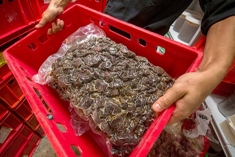 Vakuumverpacktes Rehragout