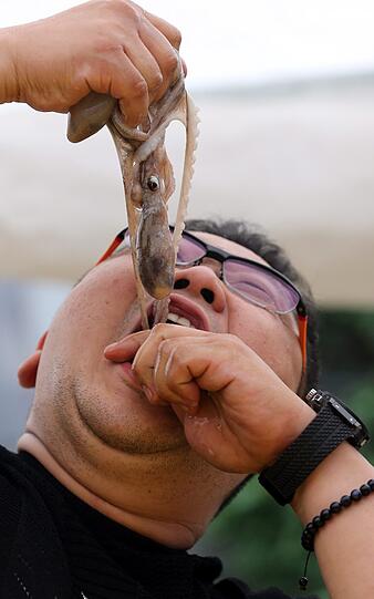 Puhh! Ganz schön groß der Oktopus. Auf einer Foodmesse in Seoul demonstriert ein Koreaner, wie man das Tier am besten gleich lebend verzehrt. Wir haben mal befremdliche Essens-Bräuche und kuriose Funde auf der ganzen Welt gesammelt...