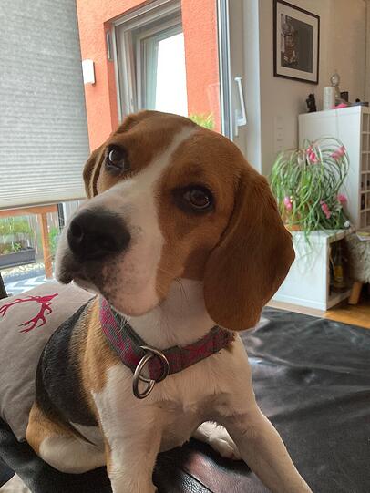 Ruby