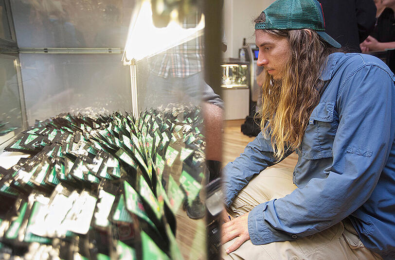 Ein Cannabis-Shop in South Carolina. Dort ist der Handel mit Gras unter bestimmten Auflagen inzwischen legal.