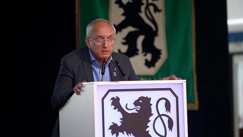 TSV 1860 München, Hans Sitzberger, Löwen-Vizepräsident, Vize-Präsident
