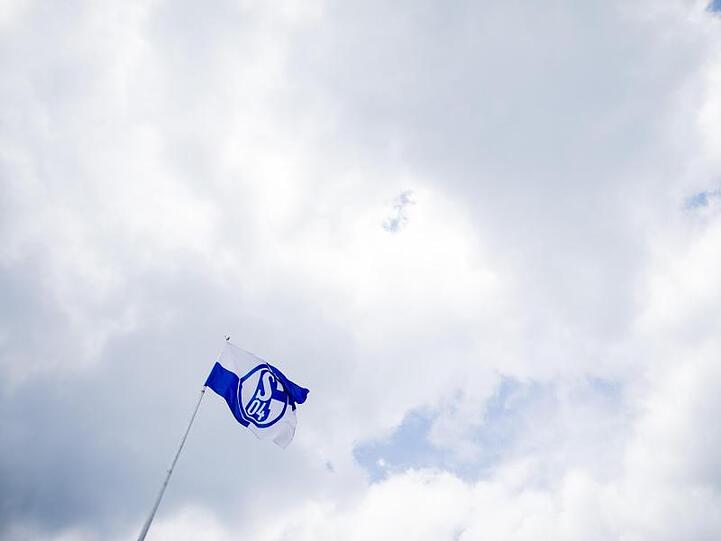 Der FC Schalke 04 denkt über eine Gehaltsobergrenze nach.