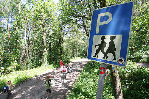 Der Tatort: Auf diesem buckligen Weg kamen sich ein Oberpfälzer Kradfahrer (60) und ein Jäger (43) in die Quere.