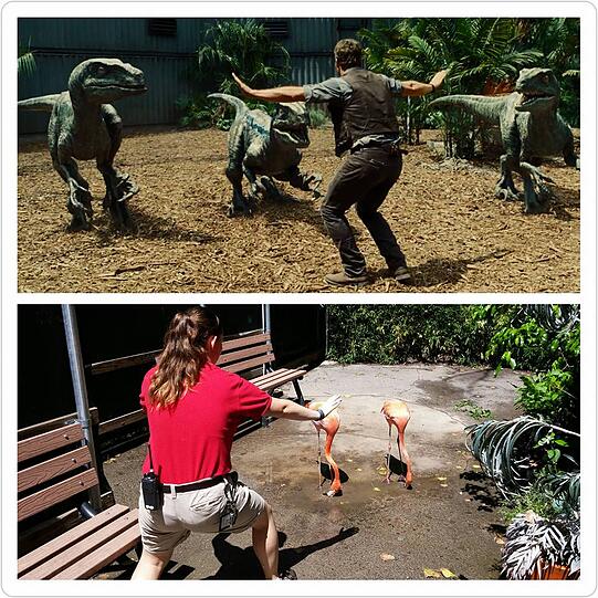 #JurassicZoo: Wenn Jurassic World Wirklichkeit wird
