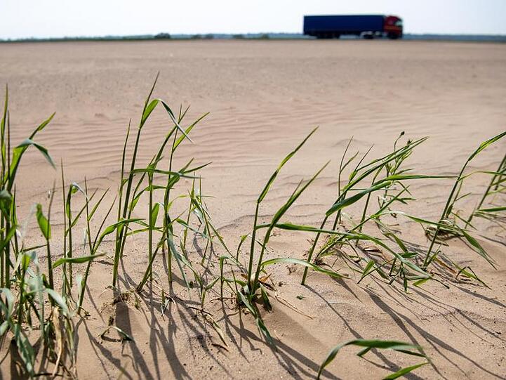 Dürren, Hitzewellen, Überschwemmungen und die Versalzung von Böden infolge des Klimawandels sind für die Ernährung der Weltbevölkerung eine erhebliche Bedrohung.