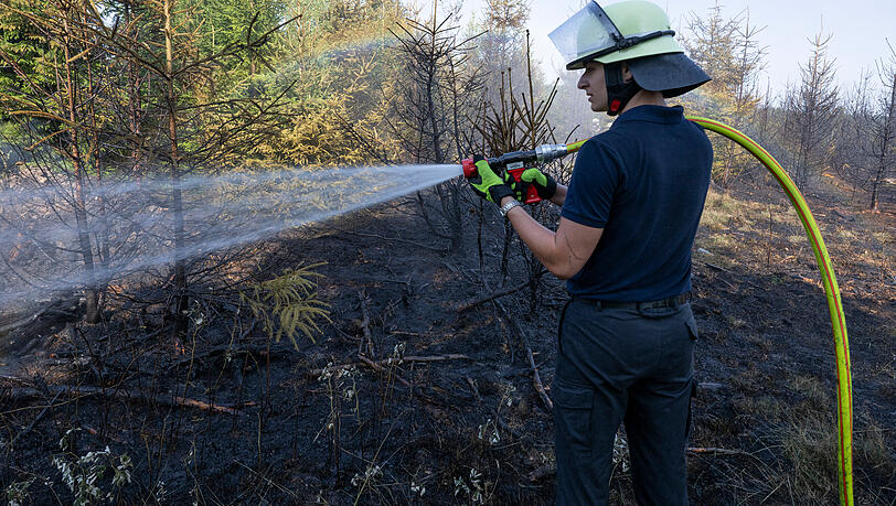 Ein Feuerwehrmann ist bei einem Walbrand  im Einsatz.  (Symbolbild)