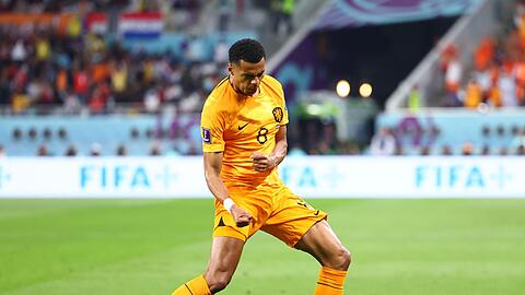 Cody Gakpo brachte die Niederlande in Führung.
