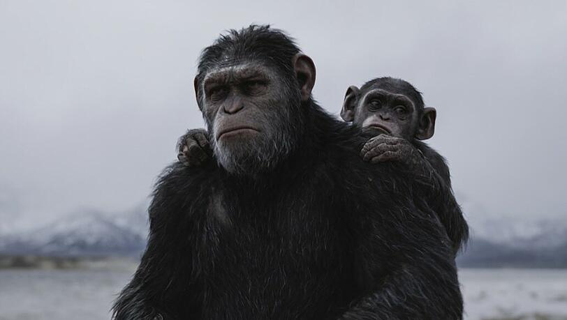 Caesar (Andy Serkis, links) will unter allen Umständen seine Familie und seinen Stamm beschützen.