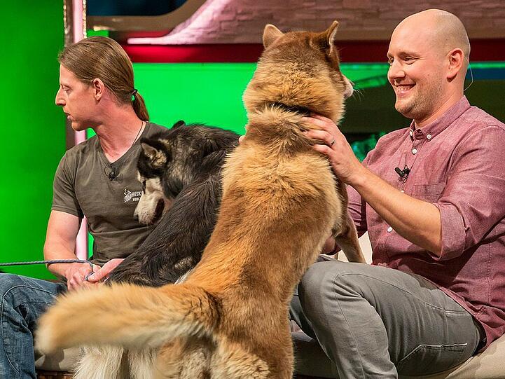 Oliver Petszokat bei der Rankingshow "Die tierischen 10". Der Ex-Teenie-Schwarm ist ein echter Hunde-Fan.