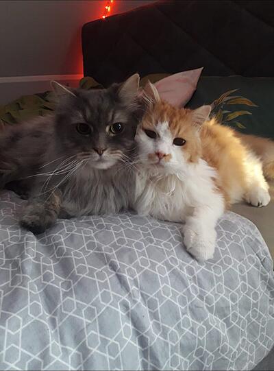Smokey und Pauli