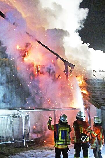 Die Feuerwehr musste bei minus elf Grad gegen die Flammen ankämpfen. Die Bilder vom Einsatz.