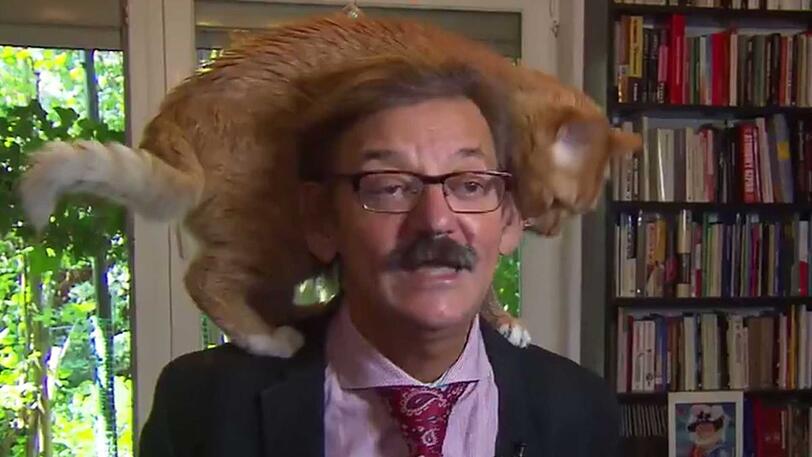 Der Kater hatte offensichtlich auch Lust, mal im Fernsehen zu kommen.