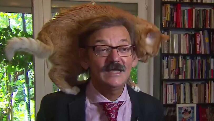 Der Kater hatte offensichtlich auch Lust, mal im Fernsehen zu kommen. Der Kater hatte offensichtlich auch Lust, mal im Fernsehen zu kommen.