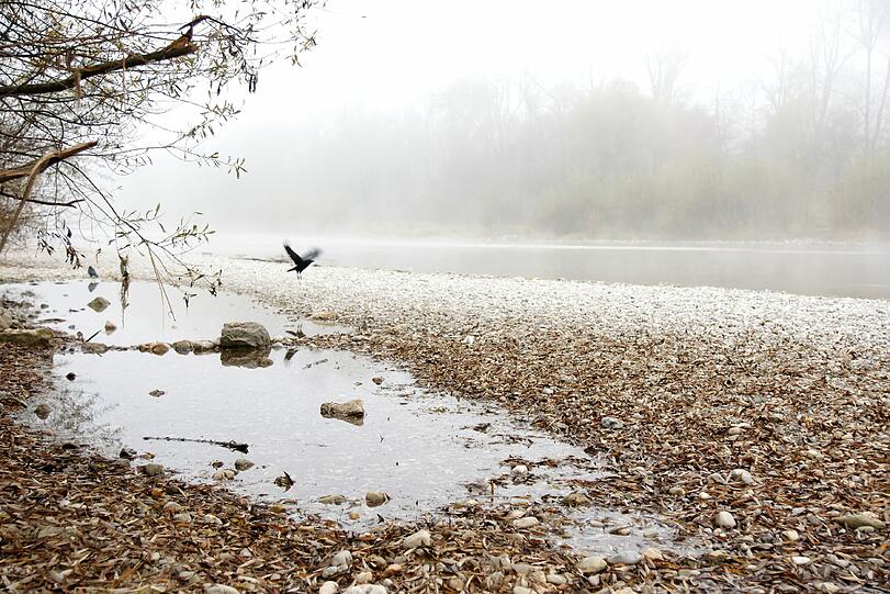 So niedrig hat man die Isar selten gesehen